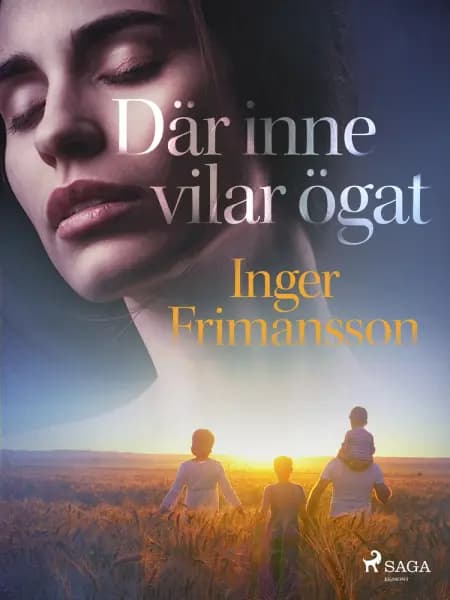 Där inne vilar ögat af Inger Frimansson