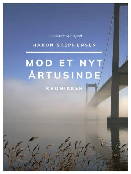 Mod et nyt årtusinde. Kronikker af Hakon Stephensen