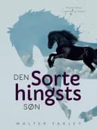Den sorte hingsts søn af Walter Farley