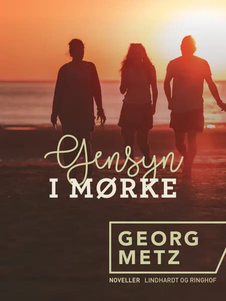 Gensyn i mørke af Georg Metz