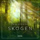 Avslappning - Skogen af Rasmus Broe