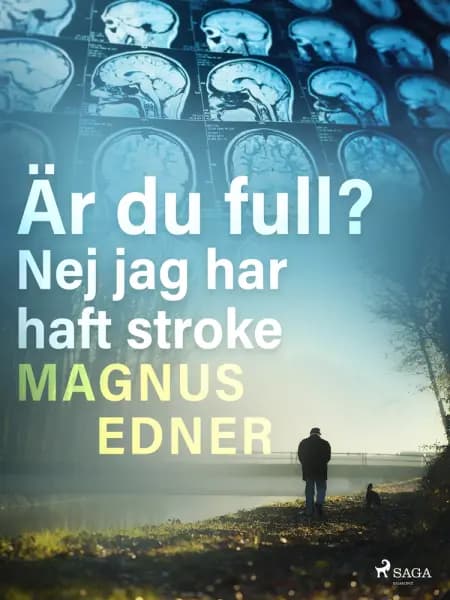 Är du full? Nej jag har haft stroke af Magnus Edner