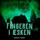 Fingeren i æsken af Jesper Holm