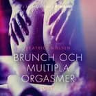 Brunch och multipla orgasmer - erotisk novell af Beatrice Nielsen