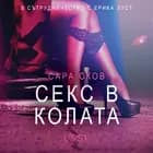 Секс в колата - Eротика af Сара Сков