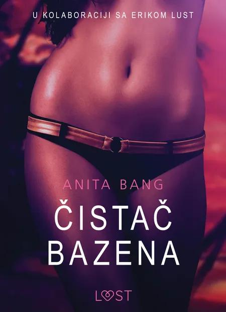 Čistač Bazena - Seksi erotika af Anita Bang
