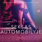 Seksas automobilyje - seksuali erotika af Sarah Skov