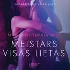 Meistars visās lietās - Erotisks stāsts af Marianne Sophia Wise