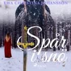 Spår i snö af Ewa Christina Johansson