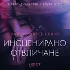 Инсценирано отвличане - еротичен разказ af Райнер Ларсен Визе