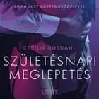 Születésnapi meglepetés - Szex és erotika af Cecilie Rosdahl