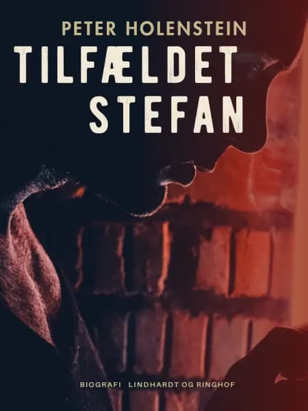 Tilfældet Stefan af Peter Holenstein