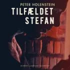 Tilfældet Stefan af Peter Holenstein