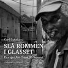 Slå rommen i glasset: en rejse fra Cuba til Guyana af Karl Johannes Eskelund