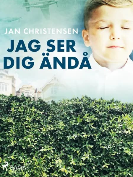 Jag ser dig ändå af Jan Christensen