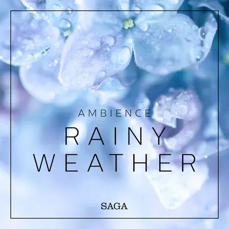 Ambience - Rainy Weather af Rasmus Broe
