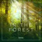 Ambience - In the Forest af Rasmus Broe