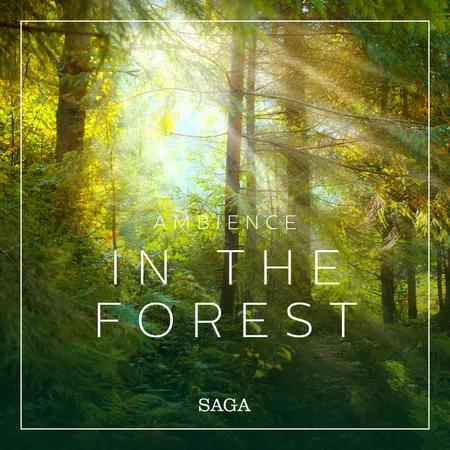 Ambience - In the Forest af Rasmus Broe