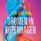 Dromen in Kopenhagen - erotisch verhaal af Terne Terkildsen