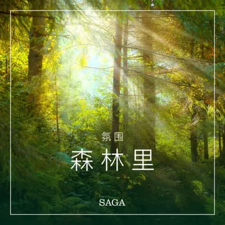 氛围——森林里 af 拉斯慕 波偌