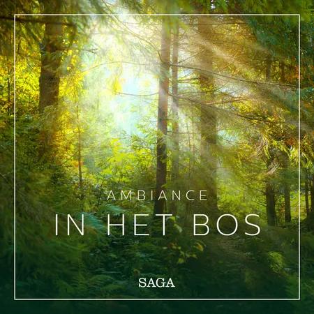Ambiance - In het Bos af Rasmus Broe