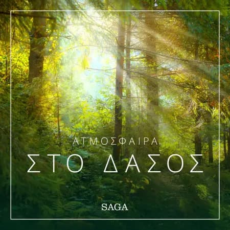 Ατμόσφαιρα - Στο δάσος af Ράζμους Μπρόι