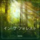 アンビエンス―イン・ザ・フォレスト af ラスムス ブロー