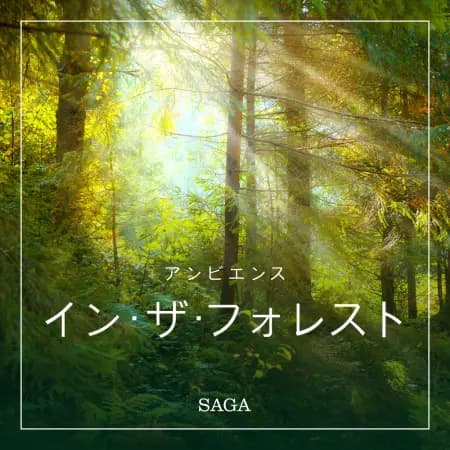 アンビエンス―イン・ザ・フォレスト af ラスムス ブロー