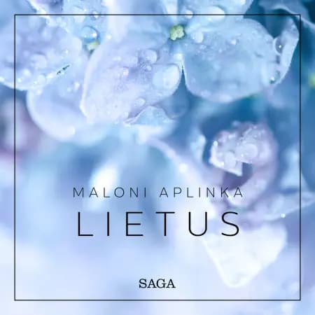 Maloni aplinka - lietus af Rasmus Broe