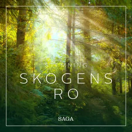 Stemning - Skogens ro af Rasmus Broe