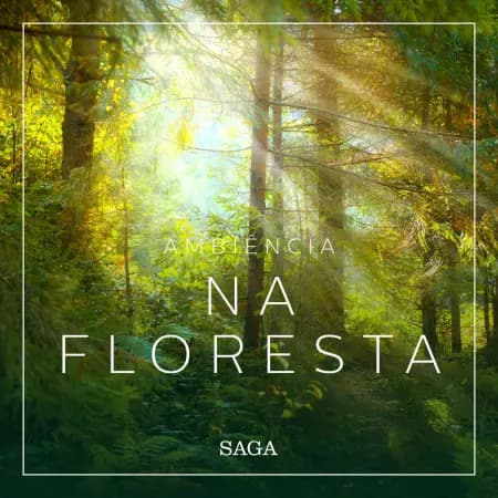 Ambiência - Na Floresta af Rasmus Broe