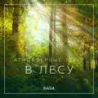 Атмосферные звуки - В лесу af Расмус Бро