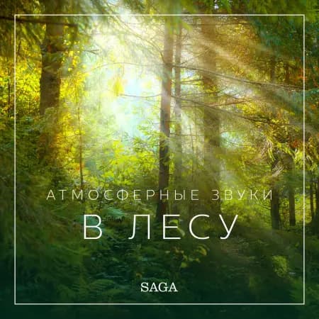 Атмосферные звуки - Дождливая погода af Расмус Бро