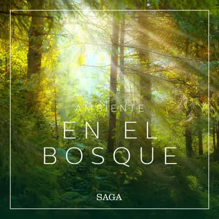 Ambiente - En el bosque af Rasmus Broe