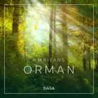Ambiyans - Orman af Rasmus Broe