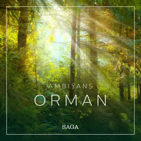 Ambiyans - Orman af Rasmus Broe