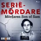 Mördaren Son of Sam af Orage