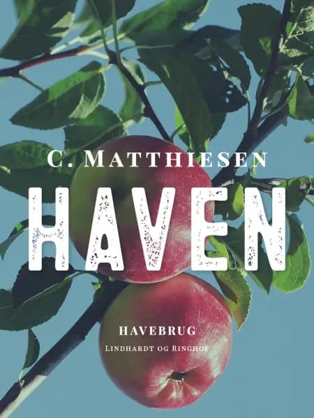 Haven af C. Matthiesen