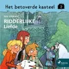 Het betoverde kasteel 2 - Ridderlijke liefde af Peter Gotthardt
