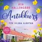 Antikkurs för vilsna hjärtan af Åsa Hallengård