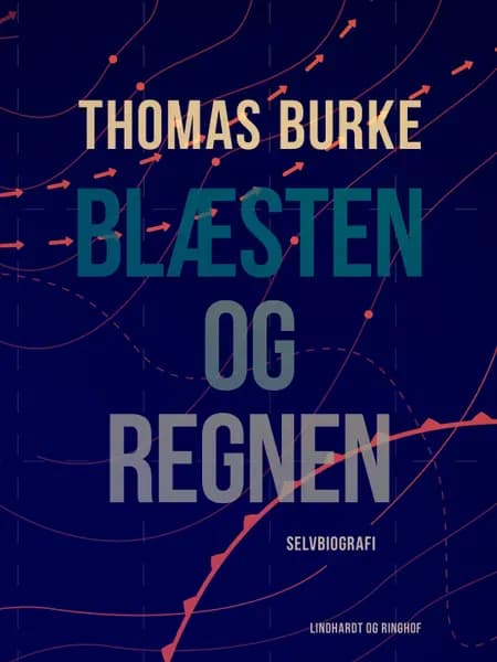 Blæsten og regnen af Thomas Burke