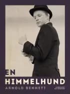 En Himmelhund af Arnold Bennett