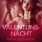 Valentijnsnacht - erotisch verhaal af Katja Slonawski