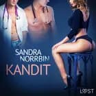 Kandit - eroottinen novelli af Sandra Norrbin