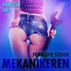 Forbudte steder: Mekanikeren - erotisk novelle af Vanessa Salt