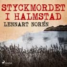 Styckmordet i Halmstad af Lennart Norén