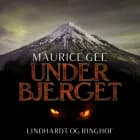 Under bjerget af Maurice Gee