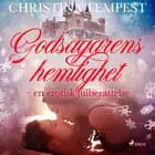 Godsägarens hemlighet - en erotisk julberättelse af Christina Tempest