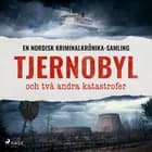 Tjernobyl och två andra katastrofer