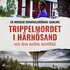 Trippelmordet i Härnösand och fem andra mordfall